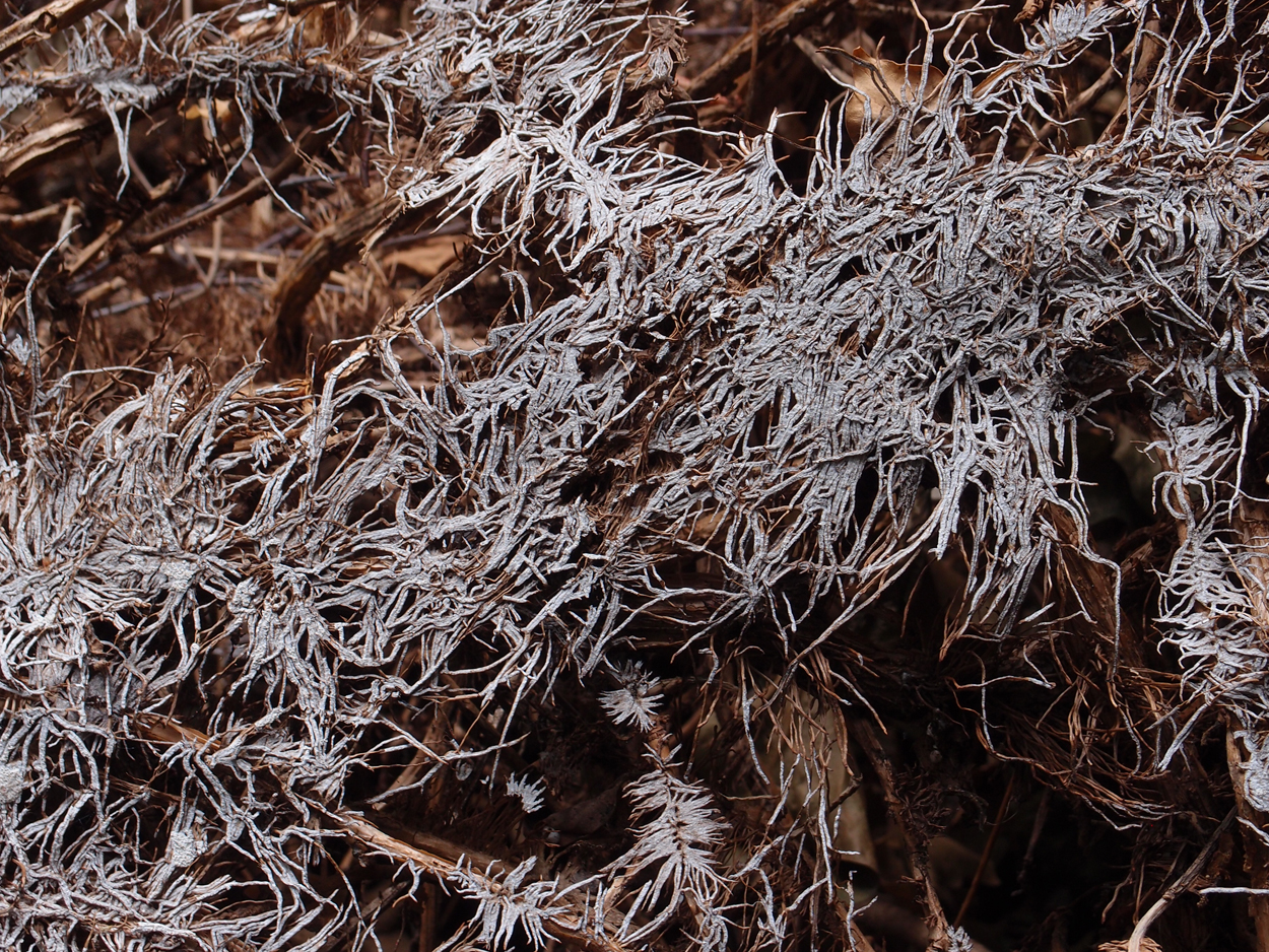 2019-07-03 foto-grafisches Statement I